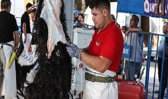 Antalya Büyükşehir’den 3 farklı noktada ücretsiz kurban kesim hizmeti