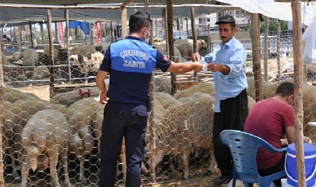 Çukurova kurban satış yerleri