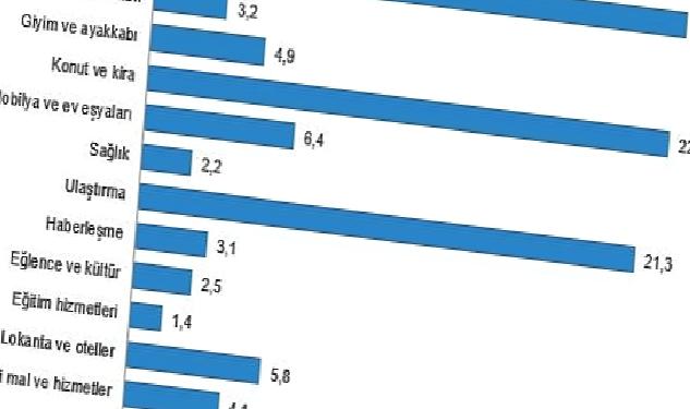 Hanehalkı bütçesinden en fazla pay gıda ve alkolsüz içecek harcamasına ayrıldı