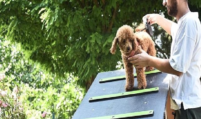 Kemalpaşa Belediyesi can dostlar için ilçenin ilk köpek parkını kurdu