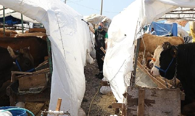 Kurban pazar yerleri ilaçlanıyor