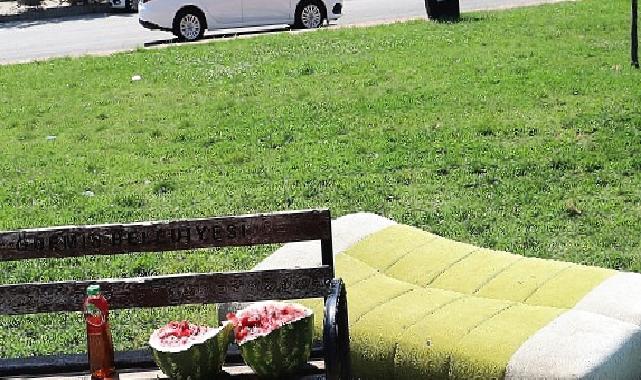 Parkta üzücü görüntüler: Şehir magandaları yine zarar verdi