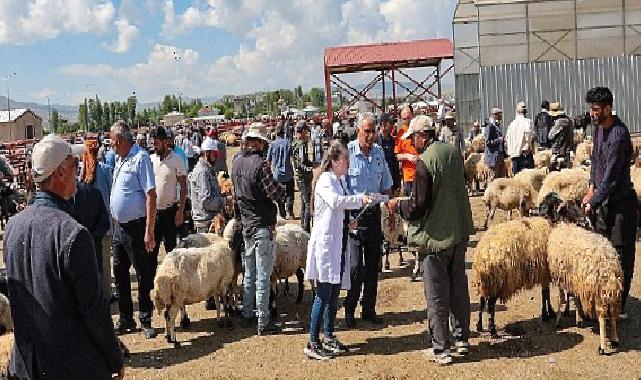 Van Büyükşehir Belediyesi canlı hayvan pazarında bilgilendirme yaptı