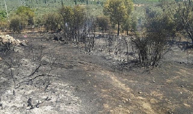 Aydın Büyükşehir Belediyesi İtfaiyesi yangına hızla müdahale etti