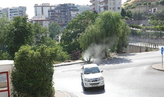 Bayraklı’da ‘ilaçlama’ seferberliği