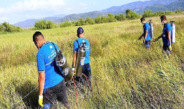 Büyükşehir Vektörle Mücadelede Tüm Birimleri ile Sahada