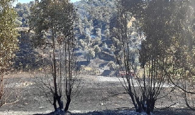 Germencik’te otoban kenarında çıkan yangın kontrol altına alındı