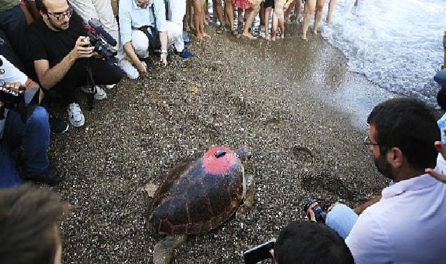 Lara Barut Collection’ın destekleri ile denizle buluşan Caretta Caretta, bir yılda 3000 km yol katetti