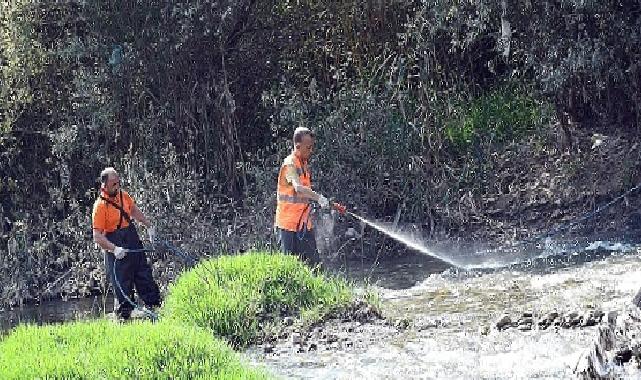 Karabük Belediyesi Sivrisinekle Mücadele Çalışmalarına Devam Ediyor