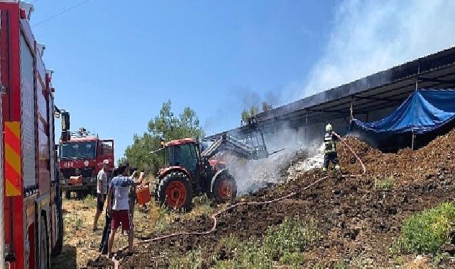 Muğla Büyükşehir Acil Müdahale Aracı ile Yangından Etkilenen Hayvanlara Müdahale