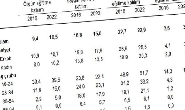 Yetişkinlerin örgün veya yaygın eğitime katılım oranı yüzde 22,9 oldu