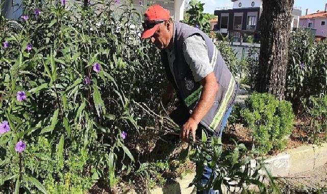 Burhaniye’nin Parklarında Yaz Sonu Bakımı Yapılıyor