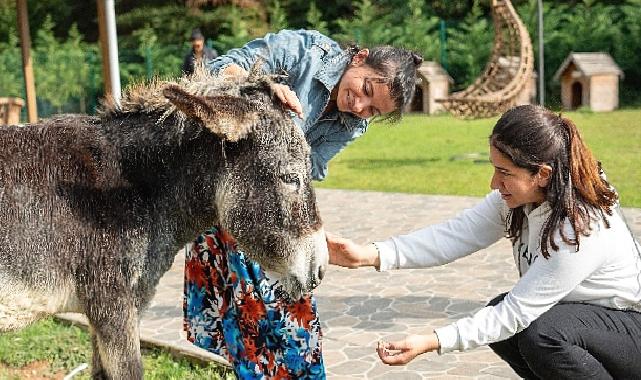 Hepsiburada, 4 Ekim Hayvanları Koruma Günü’nde Can Dostlarımızı Unutmadı