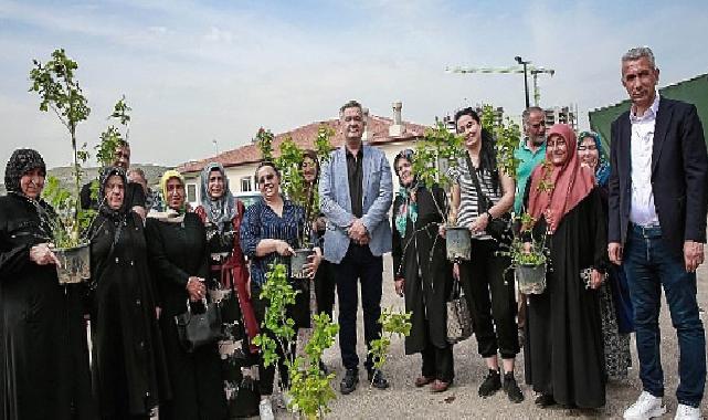 Keçiören Belediyesi tarafından tarımsal üretimi desteklemek için 205 Bin Fide Çiftçilere Dağıtıldı