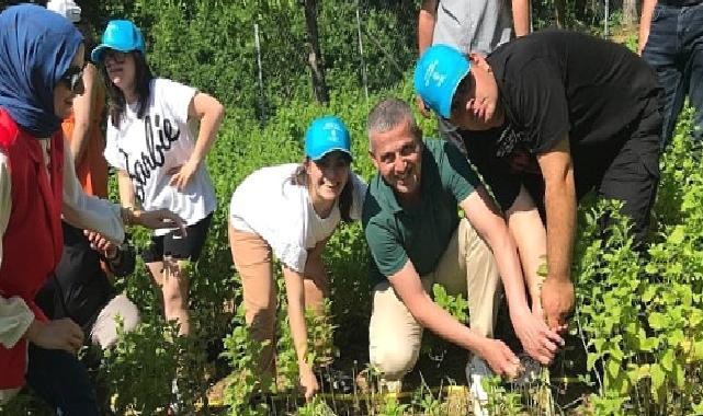 Özel çocuklarımız sebze ve aromatik bitki yetiştiriyor