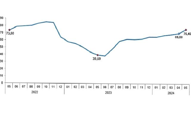 Tüik: Tüketici fiyat endeksi (TÜFE) yıllık %75,45, aylık %3,37 arttı